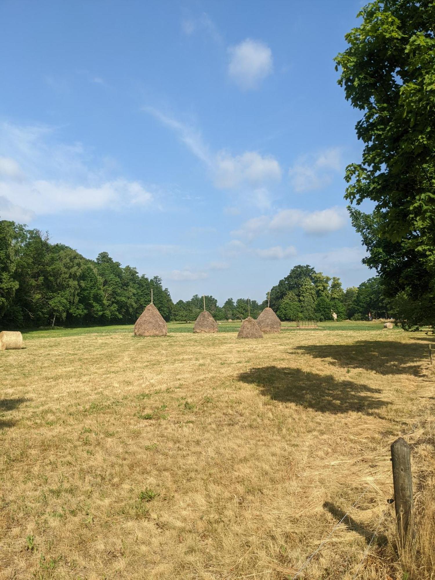 Am Waldrand Spreewald Hotel Burg  Bagian luar foto